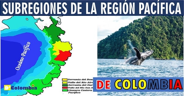 subregiones de la region pacifica