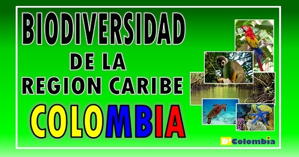 Flora y fauna de la region pacifica