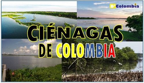 cienagas colombianas